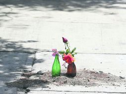 AVENIDA MÉXICO. En el lugar pusieron tierra para cubrir la huella de sangre y sobre ella algunas flores. EL INFORMADOR / M. Vargas