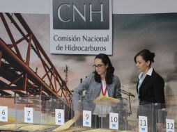 Después de revisar y verificar las garantías presentadas, la CNH está en condiciones de emitir el fallo respectivo. NTX / J. Lira