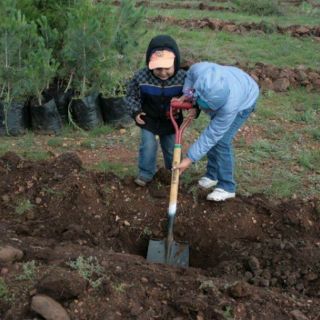 Arranca Jornada de reforestación 2015 en Jalisco