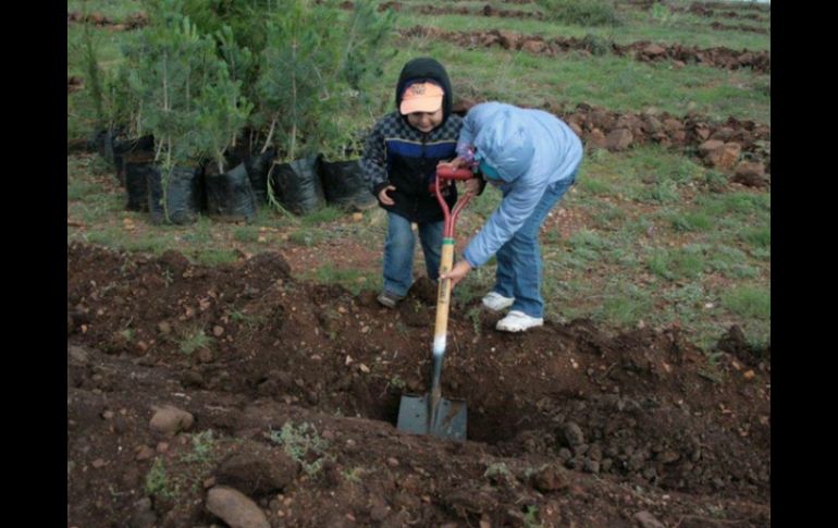 El programa de reforestación es una lucha contra la degradación de los suelos y contribuye a mitigar los efectos del cambio climático. TWITTER / @gobrep