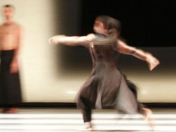 Formación. El diplomado se desarrollará con base en la técnica de Educación en Movimiento Somático. EL INFORMADOR / A. Camacho