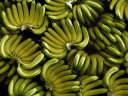 La piel del plátano macho suele ser verde, más gruesa que la del plátano tabasco y la pulpa menos dulce. NTX / ARCHIVO