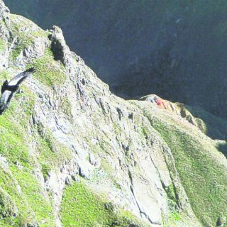 El cañón del Colca (donde habita el Cóndor)