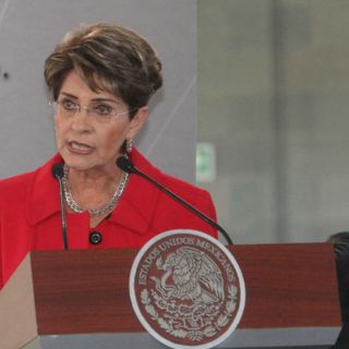 Mercedes Juan niega mala racha en el IMSS