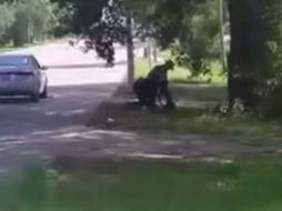 Un video que muestra la interpelación de la joven genera dudas. YOUTUBE / Shazzam1294