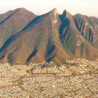 Brillan 6 entidades en ejecución contractual