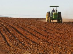 Precisan que Jalisco tiene la necesidad de ampliar sus mercados de exportación. EL INFORMADOR / ARCHIVO