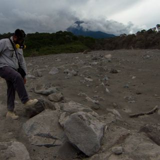 Volcán El Colima no daña al agro, pero distrae a campesinos