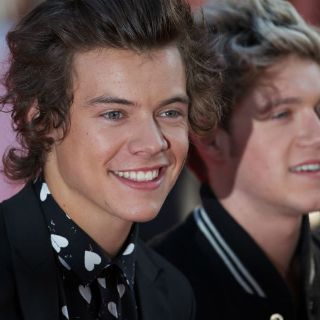 ¿'Bye' One Direction?