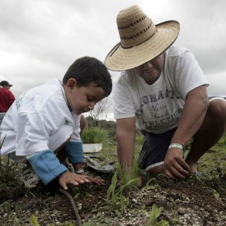 La Conafor promueve conservar terrenos forestales en Jalisco