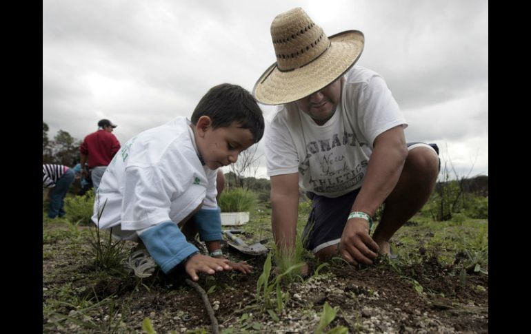 Buscan inspirar acciones que propicien el desarrollo rural sustentable en dueños de áreas forestales. EL INFORMADOR / ARCHIVO