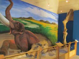 Una serie de episodios cortos y rápidos de calentamiento global tuvieron lugar en la última edad de hielo del Pleistoceno. NTX / ARCHIVO