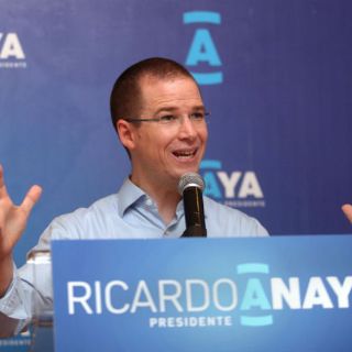 Anaya confirma proceso de expulsión a Emilio González