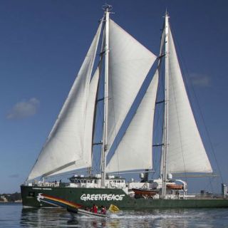 Greenpeace conmemora 30 años del hundimiento de su buque insignia