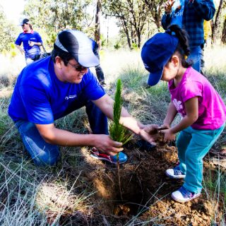Asociación Extra reforesta bosque La Primavera
