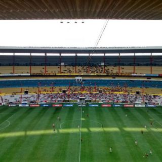 Daniel Guzmán, contento con sus Leones Negros