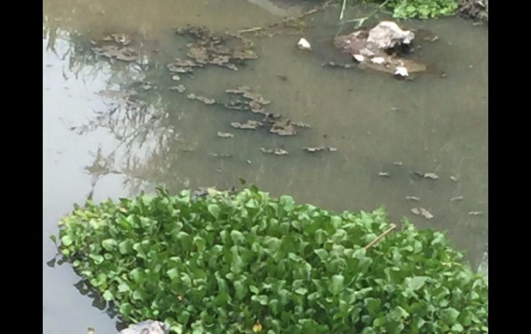 Al sitio acudió personal de la Fiscalía General y del Servicio Médico Forense. ESPECIAL /