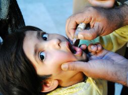 Las alergias alimentarias pueden manifestarse en las personas de diversas maneras, no sólo con la presencia de urticarias o ronchas. EL INFORMADOR / ARCHIVO