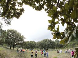 Angélica Contreras, representante de Extra A. C., dice que se le dará seguimiento a árboles adoptados a través de software especial. EL INFORMADOR / P. Pérez