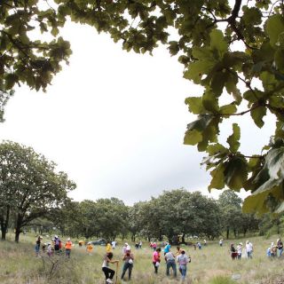 Extra entrega más de dos millones de árboles en adopción