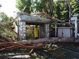 Algunos suburbios aún tienen desechos que cubren las calles, lo que dificulta el tráfico. AFP / C. Giovannini