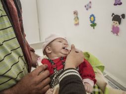 Dale una mordedera fría, esto ayudará a que sus encías se adormezcan y sienta menos dolor. EL INFORMADOR / ARCHIVO