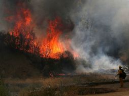 El condado de Trinity registra en estos momentos dos de los incendios más extensos del estado. AFP / J. Sullivan