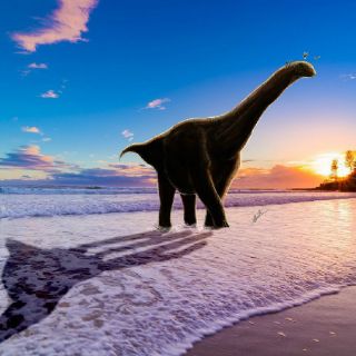 Muestran fotos de la tierra de hace 600 millones de años