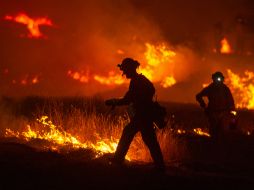 De enero a la fecha Cal Fire ha combatido cuatro mil 200 incendios. AP / J. Edelson