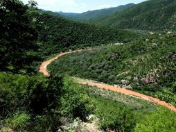 En total, 360 personas fueron afectadas por el derrame de 40 millones de litros de sulfato de cobre acidulado en el río Sonora. AP / ARCHIVO