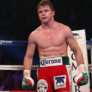 Falta de acuerdo en cláusula impide anunciar Canelo-Cotto