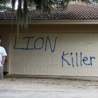 Investigan grafitis en casa del dentista que mató a león Cecil