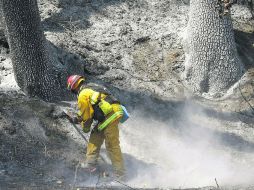 CENIZA. Un bombero inspecciona la estela de ruinas cerca de Clearlake, California. AP /