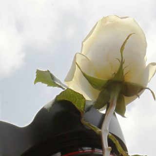 Con velas y flores recuerdan a víctimas de la Narvarte