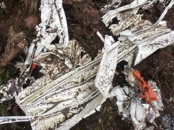La avioneta monomotor se estrelló en una zona boscosa al noroeste del aeropuerto minutos después de que emprendiera el vuelo. NTX / ARCHIVO