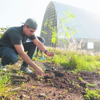 Diversidad en el Cerro del Tesoro