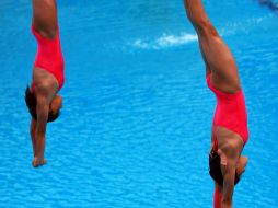 Señalan que los nadadores hacen un tiempo y por ese tiempo se califican o no. NTX / ARCHIVO