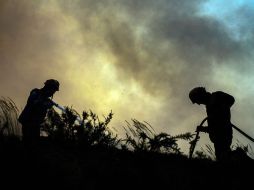 El incendio se encuentra controlado en 70% luego de arrasar con más de 280 kilómetros cuadrados de bosques. EFE /  G. Delgado