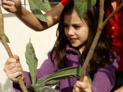 Enseñanza. A los niños es importante recordarles la importancia de cuidar los árboles. EL INFORMADOR / ARCHIVO