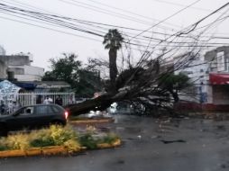 La fuerte tormenta vespertina de ayer, dejó serios daños en la Zona Metropolitana de Guadalajara. EL INFORMADOR / O. Álvarez