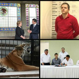 México en resumen: las noticias del 13 de agosto