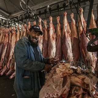 Jalisco fortalece red estatal de rastros para elevar competitividad