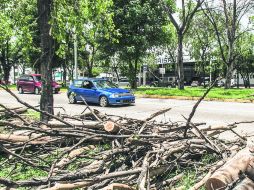 Parques y Jardines de Guadalajara ha retirado 26 árboles en el camellón de Lázaro Cárdenas por representar un riesgo o por enfermedad. EL INFORMADOR / R. Tamayo