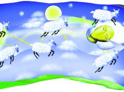 Investigación. Científicos de Francia, Estados Unidos e Israel buscan develar los misterios del sueño. ESPECIAL / A. Leary