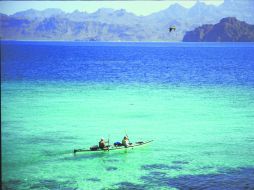 Único. A lo largo de la península de Baja California los hermosos paisajes desérticos se mezclan con el mar. AP / T. Prichard