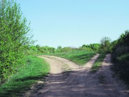 Dios nos llama para que seamos capaces de construir vidas felices. ESPECIAL /
