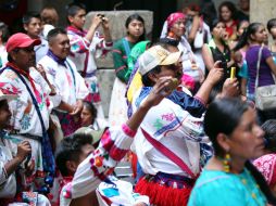 El partido indígenas podría participar en los próximos procesos electorales bajo la figura de la candidatura independiente. EL INFORMADOR / ARCHIVO
