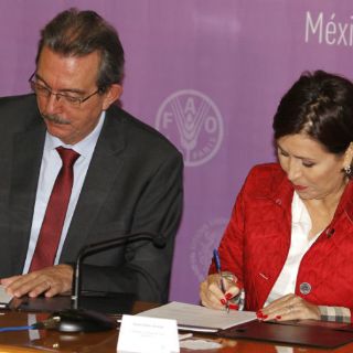 La Sedesol recibirá asesoría de la FAO