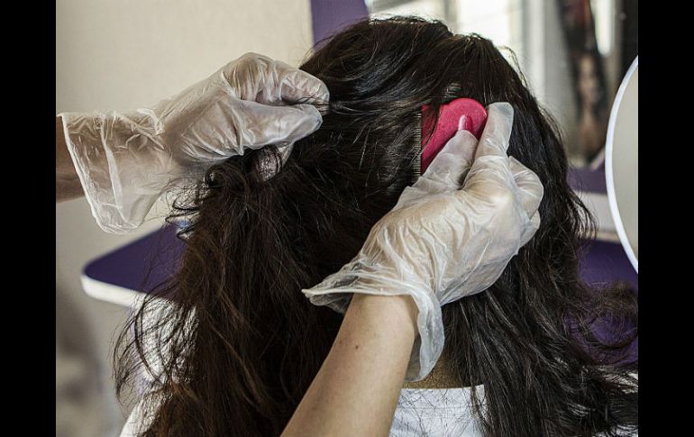 El continuo uso de sustancias ha provocado que los piojos evolucionen de tal manera que los productos ya no encajan en los receptores. EL INFORMADOR / ARCHIVO