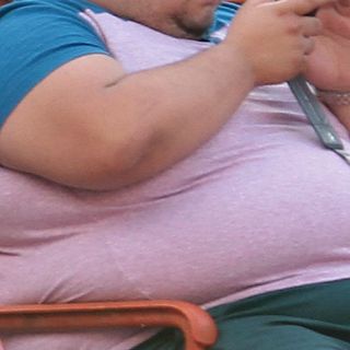 Científicos averiguan cómo trabaja gen de obesidad